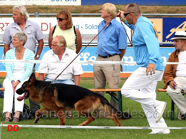 jhkl-r-barack-dogshof.jpg - Giovani maschi (JHKL R):  Barack Dogshof