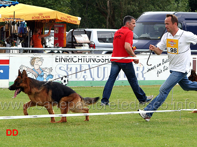 jhkl-r-fulz-di-zenevredo-.jpg - Giovani maschi (JHKL R): Fulz di Zenevredo