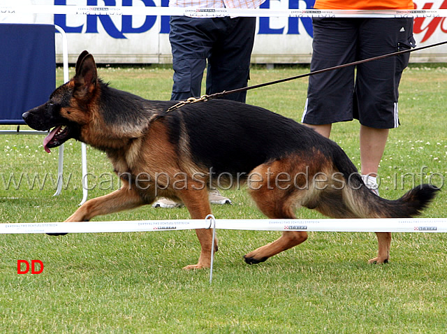 jill-vlady-sal.jpg - Giovanissimi maschi (JKL R): Jill Valdy Sal