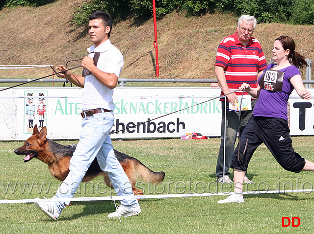 jkl-h-oduscha-zum-gigelsfelsen.jpg - Giovanissime femmine (JKL H): Oduscha zum Gigelfelsen