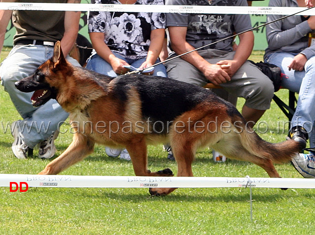 karol-dei-lotito-04.jpg - Giovanissimi maschi (JKL R): Karol dei Lotito