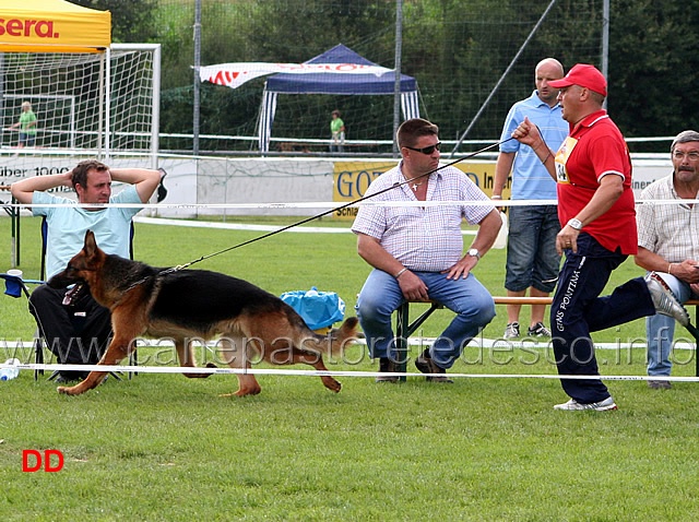 nero-della-gens-pontina-04.jpg - Lavoro maschi (GHKL R): Nero della Gens Pontina