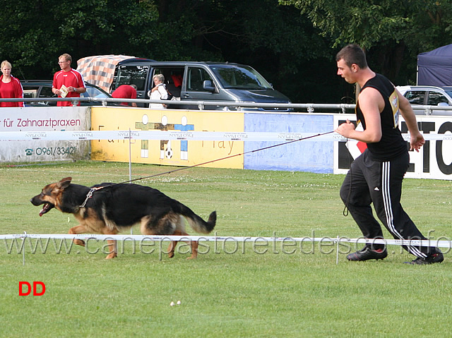 nwkl-h-quini-von-der-detlevsburg.jpg - Cucciolone femmine (NWKL H): Quini von der Detlevburg