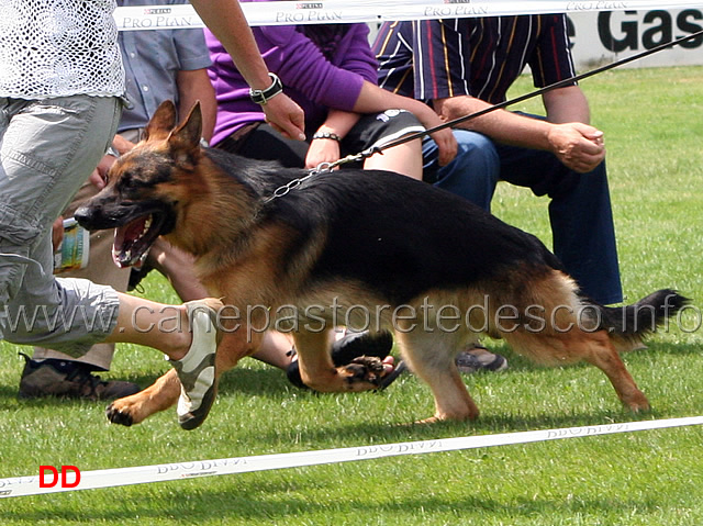 zico-delle-cinque-ville-04.jpg - Giovanissimi maschi (JKL R): Zico delle Cinque Ville
