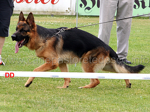zico-delle-cinque-ville-05.jpg - Giovanissimi maschi (JKL R): Zico delle Cinque Ville