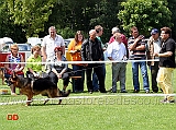 jkl-r-yoker-vom-westervenn-05