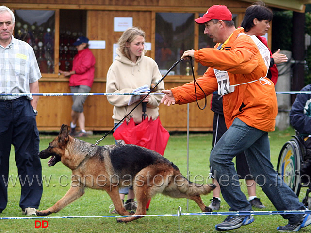 355.jpg - Afra Alfons David