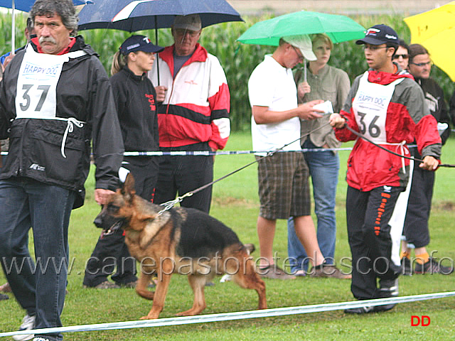 409.jpg - Beckham Bad Boll