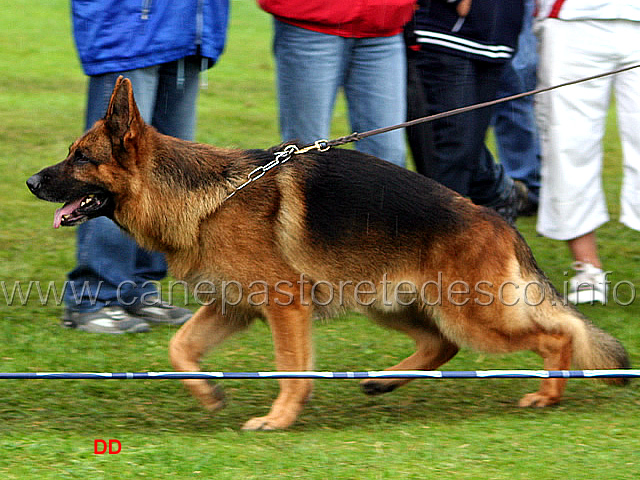 418.jpg - Yukon von der Bastillie