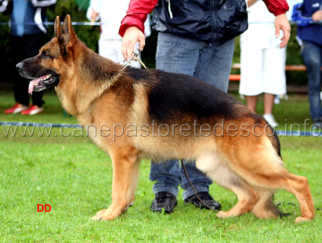 456.jpg - V1 Yukon von der Bastillie