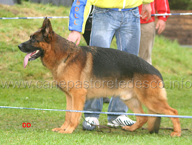 459.jpg - V3 Ober Bad Boll