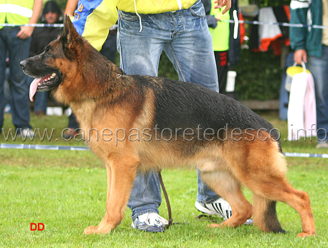 460.jpg - V3 Ober Bad Boll