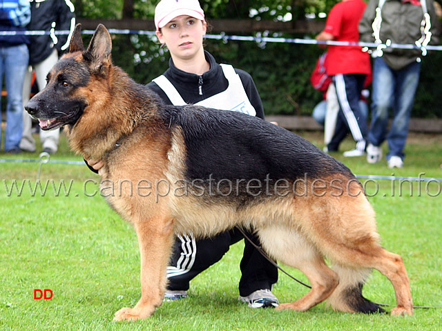 472.jpg - V13 Jumbo di Zenevredo