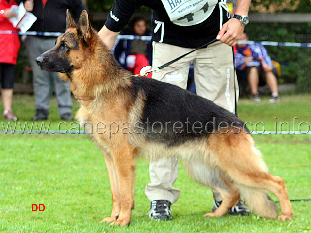 474.jpg - V15 Will vom Hutberg