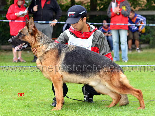 475.jpg - V16 Beckham von Bad-Boll