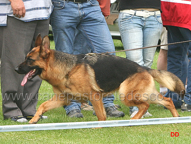 267.jpg - Zilly Geminius Park SG11