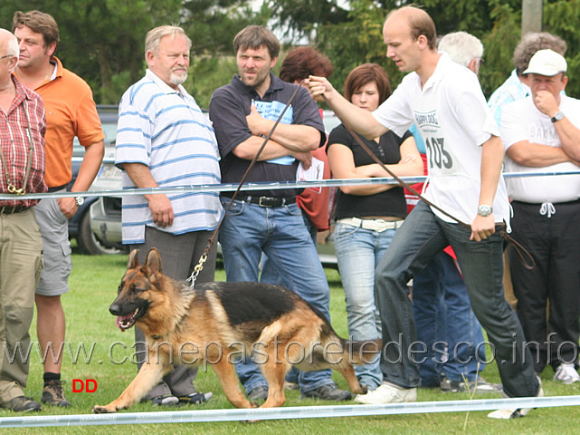 268.jpg - Karina Altenberger Land SG12