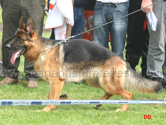 270.jpg - Onja von der Luxenfalle SG2