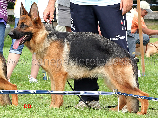 282.jpg - SG7 Manda von Aurelius