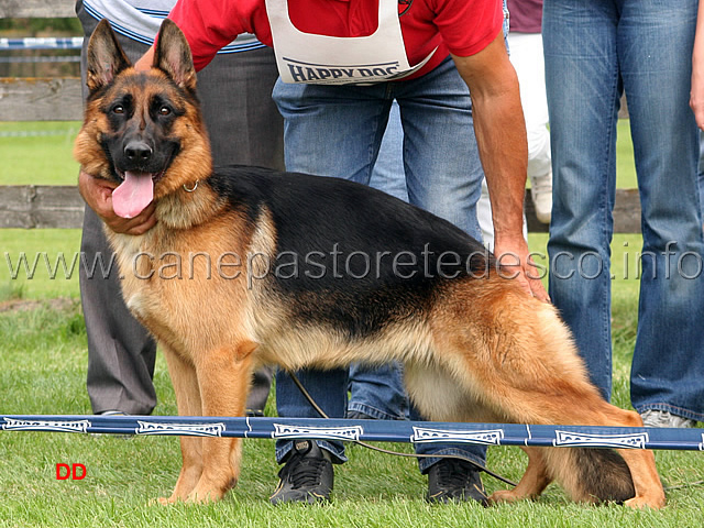 283.jpg - SG8 Stella von der Buchecke