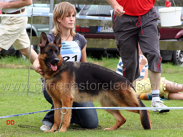 123.jpg - SG1 Juri Schollweiher