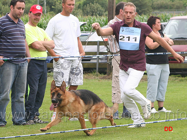 130_.jpg - SG8 Farina Hutweide