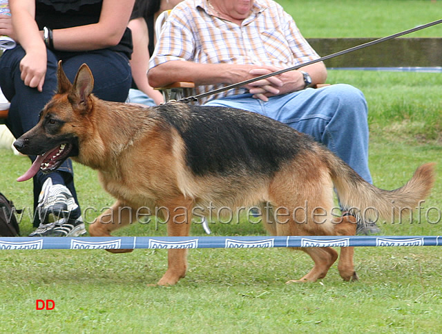 153.jpg - SG9 Farina Hutweide