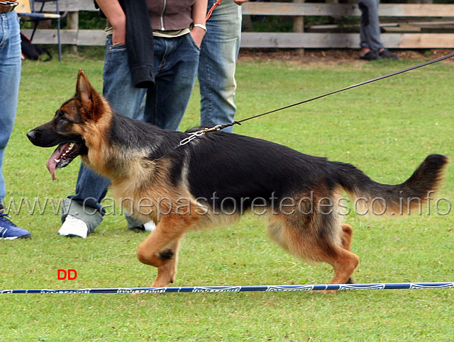 011.jpg - Wendy Piste Trophe