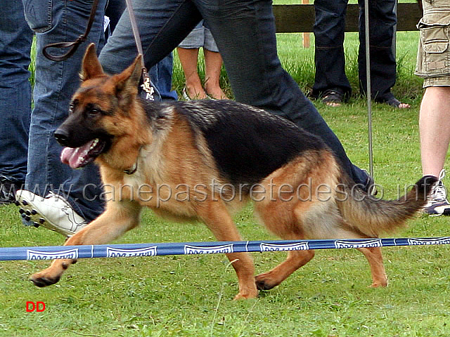 028.jpg - Udett Holledau