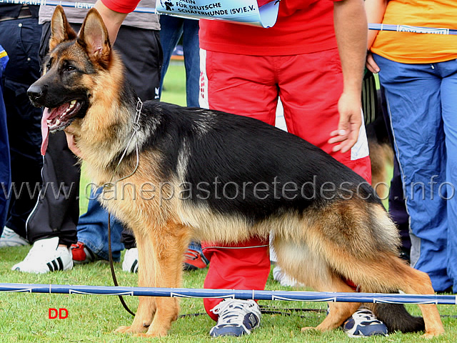 050.jpg - vv7 Wendy von der Piste Trophe