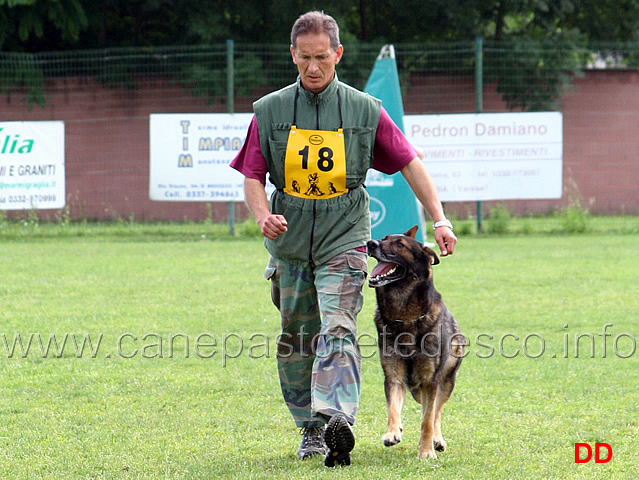 francesco-balestrieri-con-gordan-wolfsblick-04.jpg - Francesco Balestrieri con Gordan vom Wolfsblick B punti 97