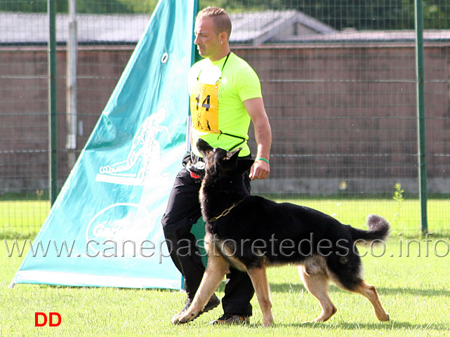 vincenzo-magnati-con-duca-05.jpg - Vincenzo Magnati con Duca vom Spitzbubezwinger C 18 punti