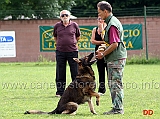 francesco-balestrieri-con-gordan-wolfsblick-07