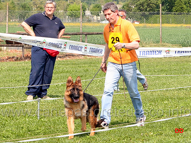 018.jpg - Juniores femmine Quiri dell'Alpe Adria