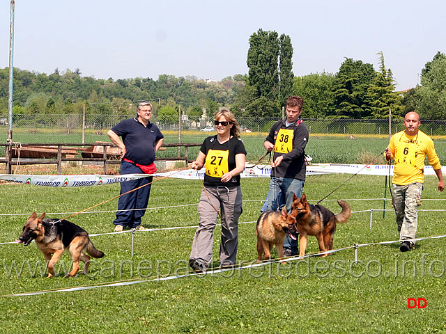 021.jpg - Juniores femmine