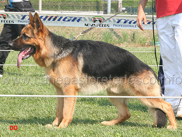 092.jpg - Giovanissimi maschi 7 Cielo