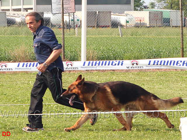 133.jpg - Adulti maschi Giuseppe Rey con Nicos degli Achei al fuss