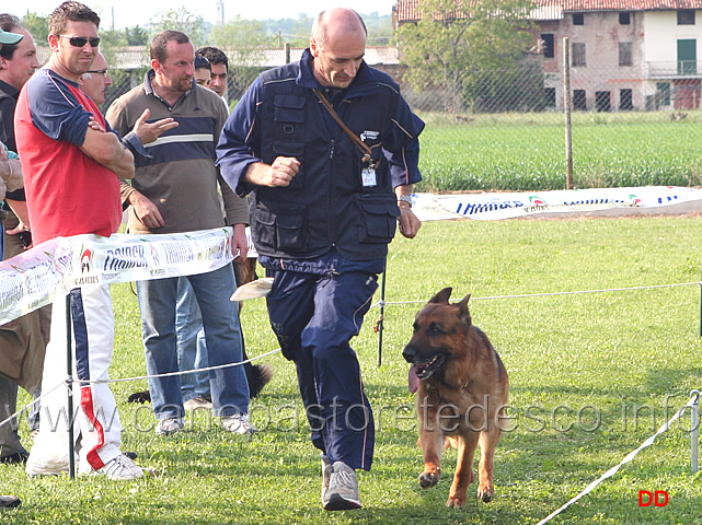 135.jpg - Adulti maschi Fuss da lavorista (Ares Tofana 4 eccellente)
