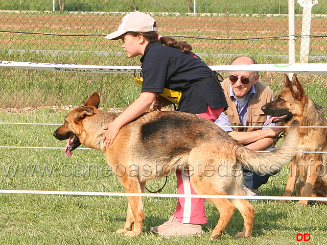 157.jpg - Soci juniores in campo: Anna Zampieri con Bloom