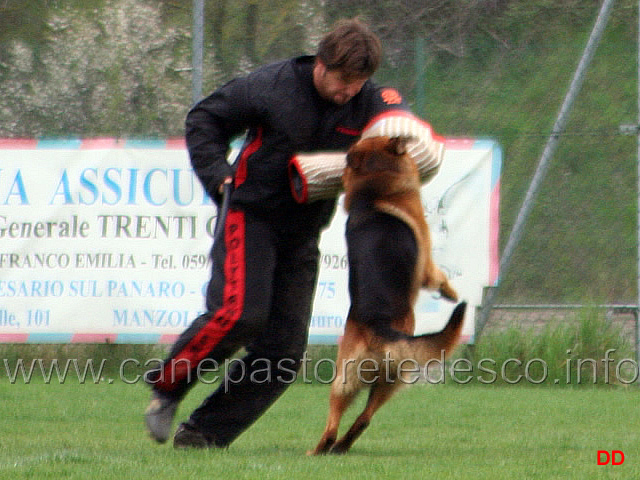 064.jpg - Mike del Catone. Difesa del cane durante la fase di vigilanza