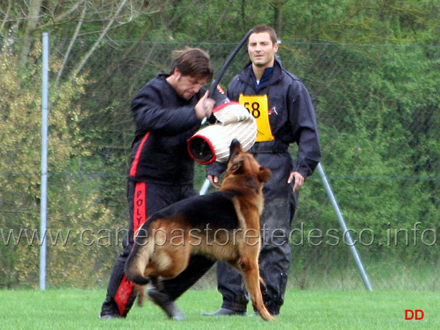 070.jpg - IPO3 Mike del Catone. Attacco al cane durante la condotta da dietro