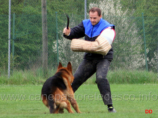 071.jpg - IPO3 Mike del Catone. Attacco lanciato