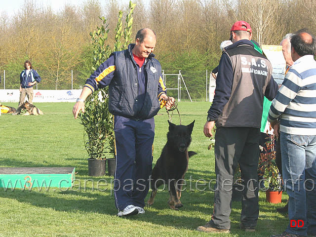 282.jpg - Premiazione IPO3: 6° classificato Giorgio Colombo con Matcho di Villa Saracena