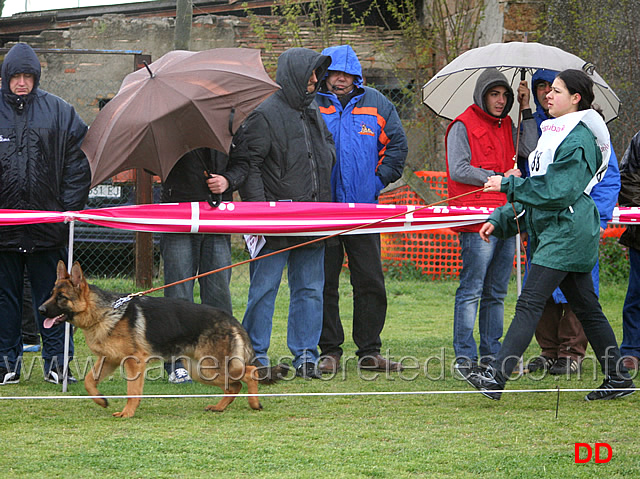 014.jpg - Classe Juniores femmine 13 Birke