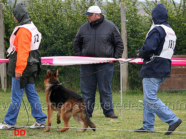 018.jpg - Classe Juniores femmine 17 Joga