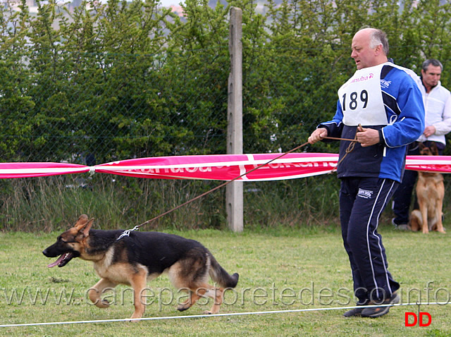 019.jpg - Classe Juniores femmine 20 Leva v.d. Kahler Heide