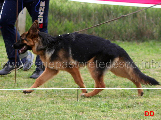 030.jpg - Classe Juniores femmine 8 Luna