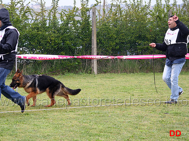 069.jpg - Classe Juniores maschi 10 Quan di Casa Gregori