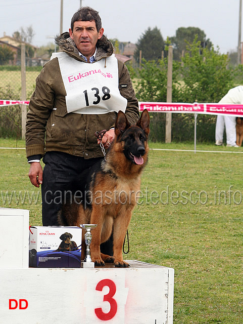 127.jpg - Classe Cucciolone femmine 3 Connie di Casa Ines