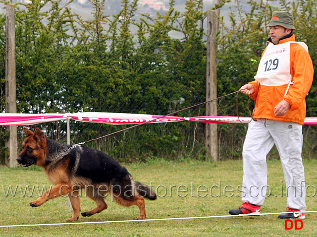 135.jpg - Classe Cuccioloni maschi 1 Bax di Casa Beggiato